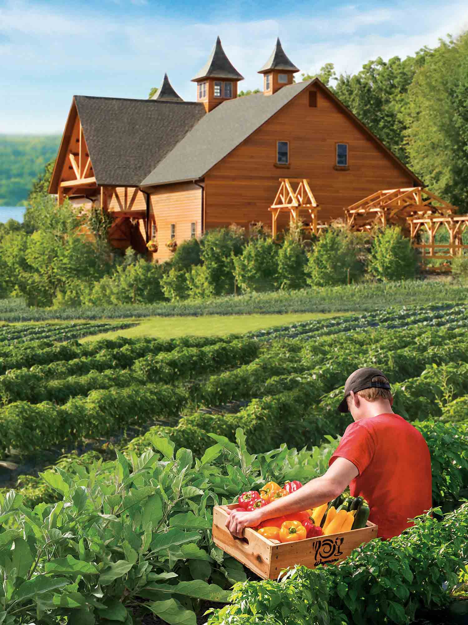 Wegmans Organic Farm and Orchard