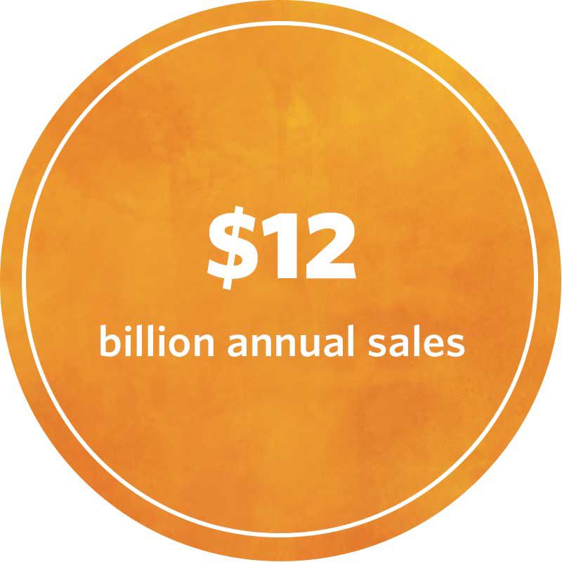 eleven point two billion dollars in annual sales
