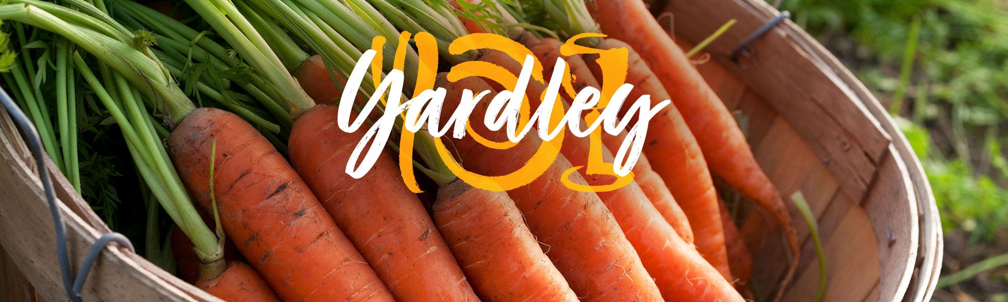 Wegmans Yardley, PA Grocery Store Food Delivery & Curbside Grand Opening