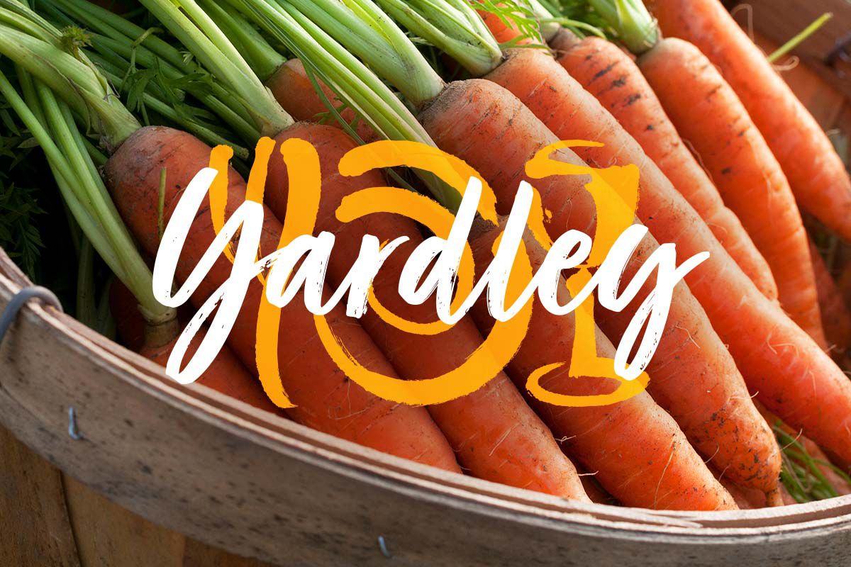Wegmans Yardley, PA Grocery Store Food Delivery & Curbside Grand Opening