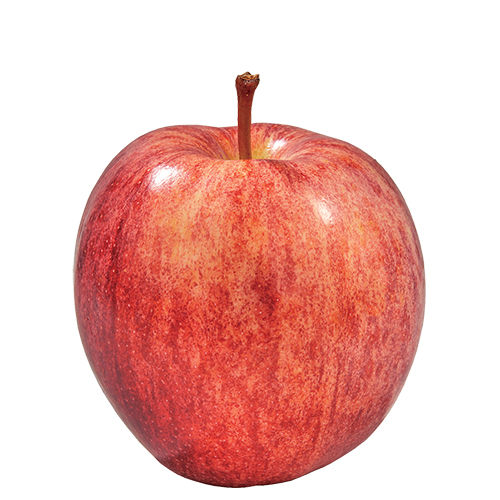 Wegmans Organic Fuji Apple | Wegmans