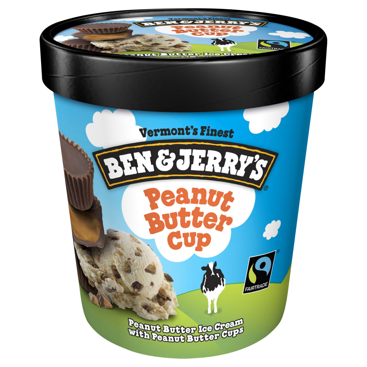 BEN & JERRY'S Ice Cream, Chubby Hubby | Wegmans