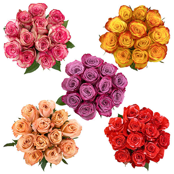 Novelty Roses (12 Stem) | Wegmans