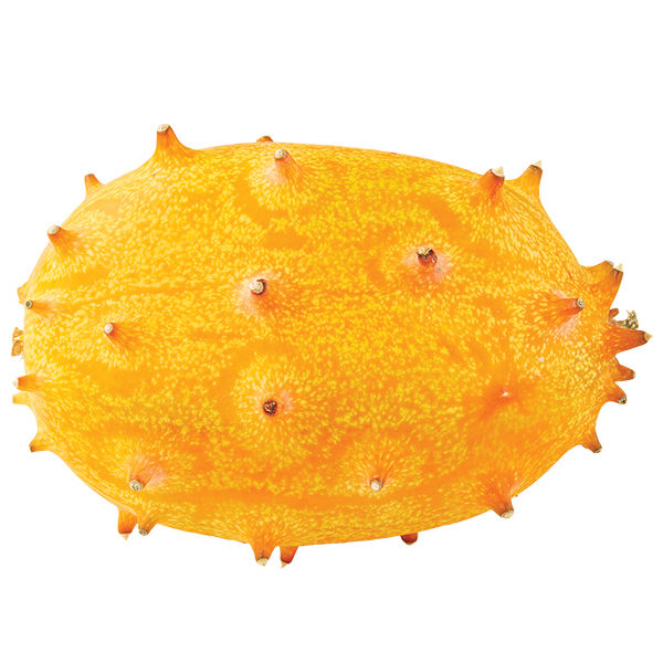 Melon, Kiwano Horn | Wegmans