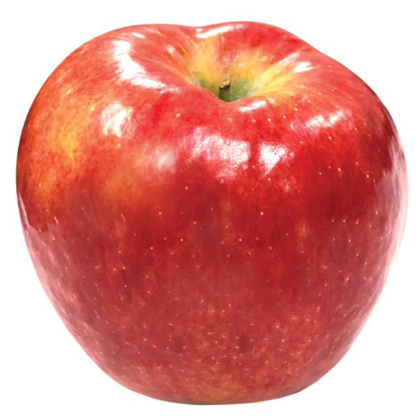 Apple - ビビ iph16plus-um-4-lg.png