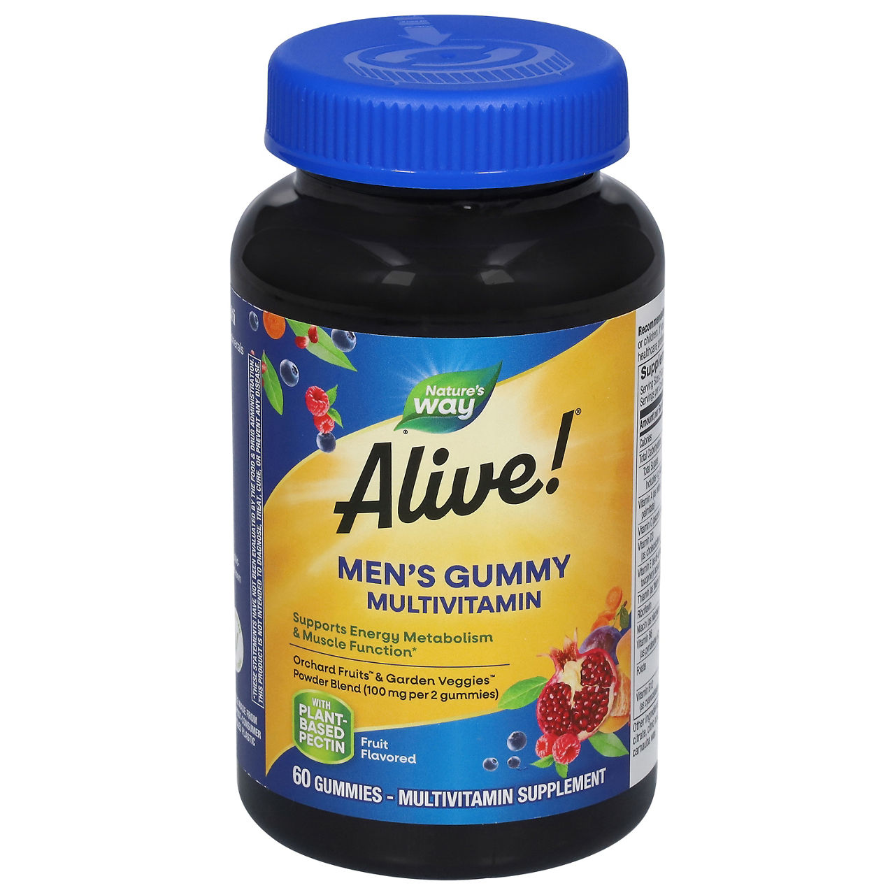 Alive! Alive Multivitamin, Men's Gummy, Orchard Fruits & Garden Veggies ...