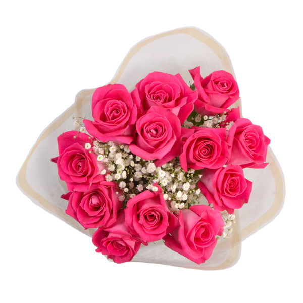 Dozen Rose Pairing | Wegmans