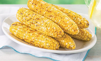 Veggie Recipes