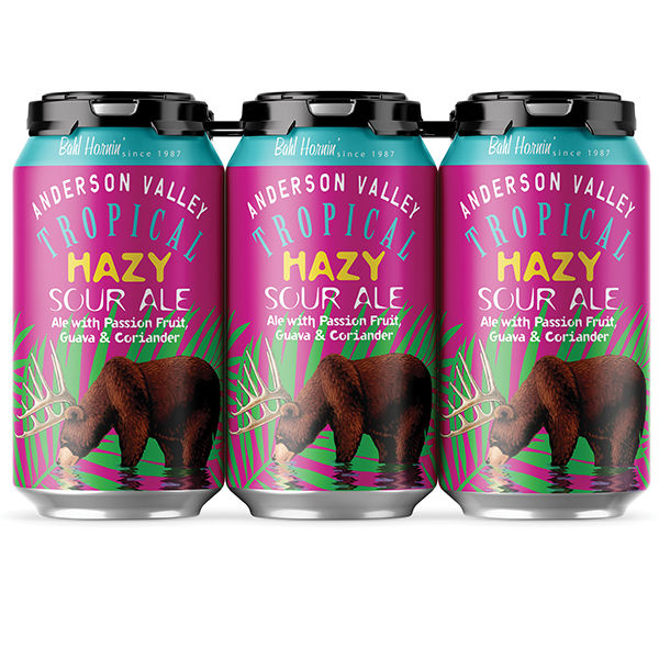 Anderson Valley Tropical Hazy Sour Ale 6/12 oz cans | Wegmans