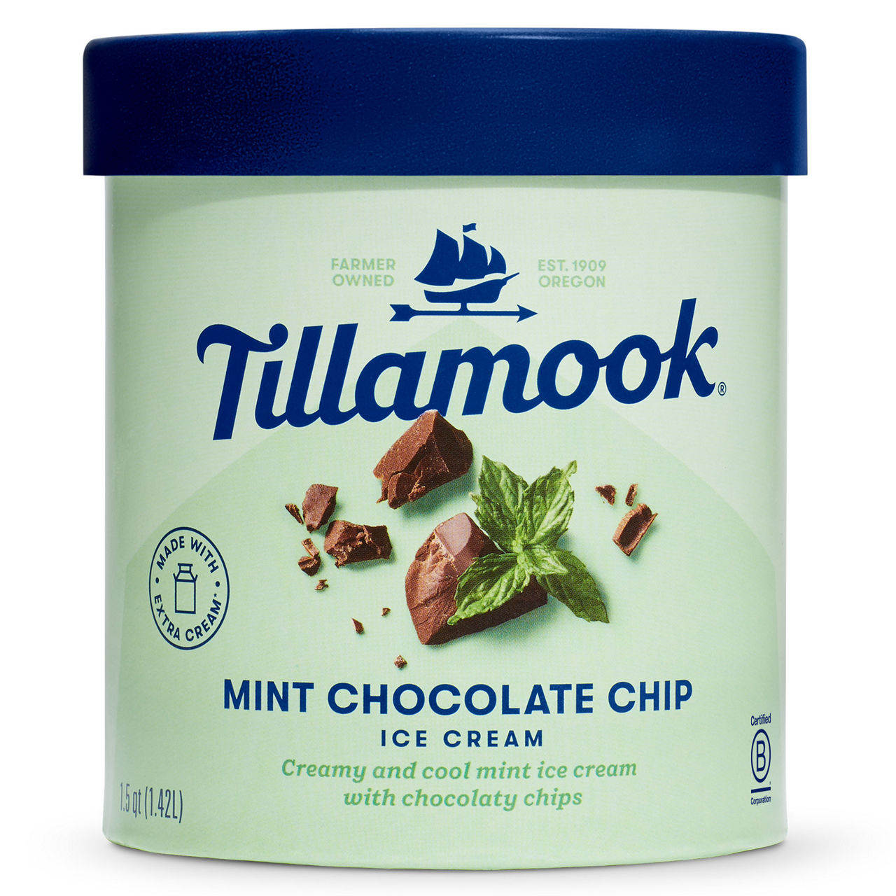 Tillamook Ice Cream, Mint Chocolate Chip | Wegmans