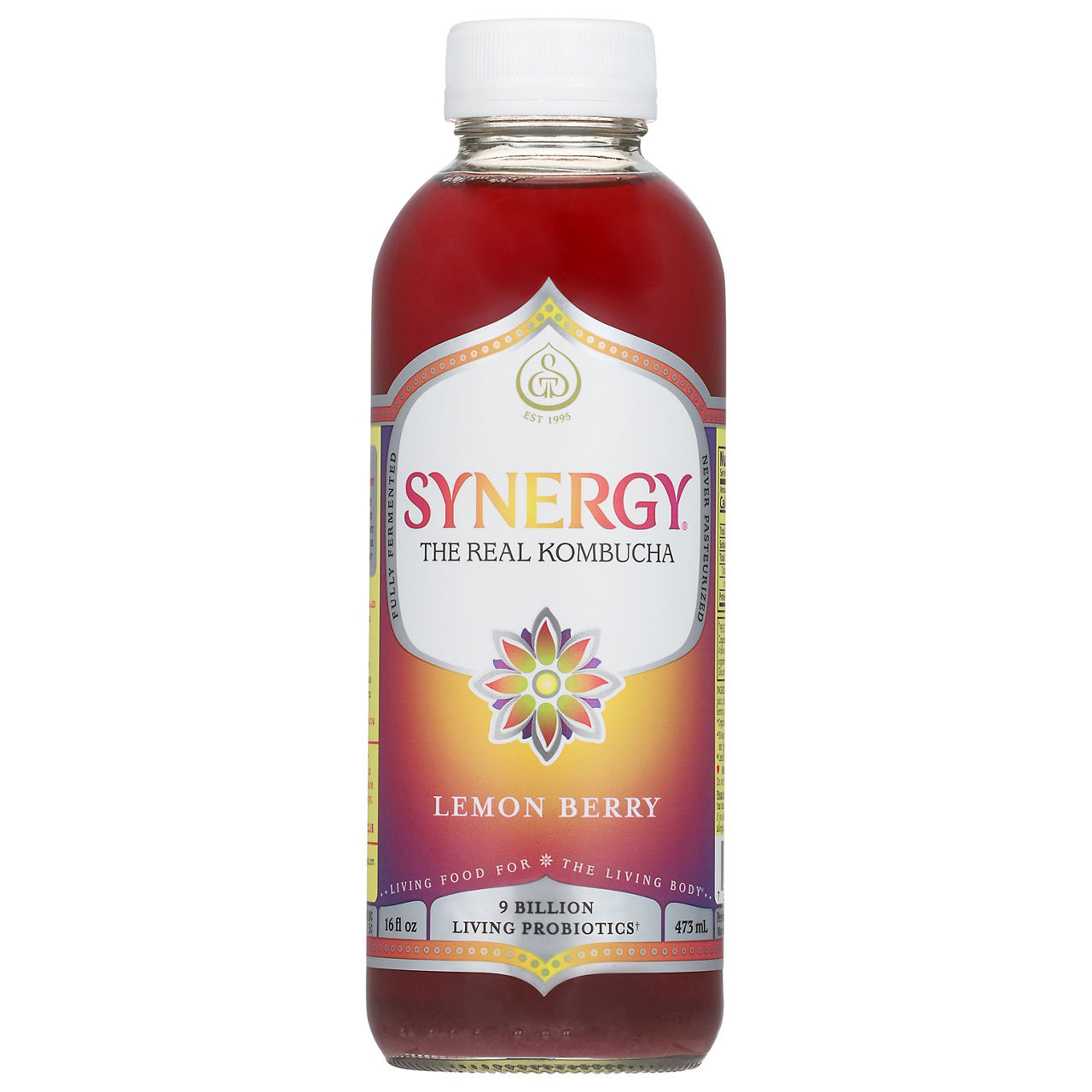 grandPa！　ROBUST RSC-53ML GT's Synergy Kombucha, Raw, Trilogy | Wegmans