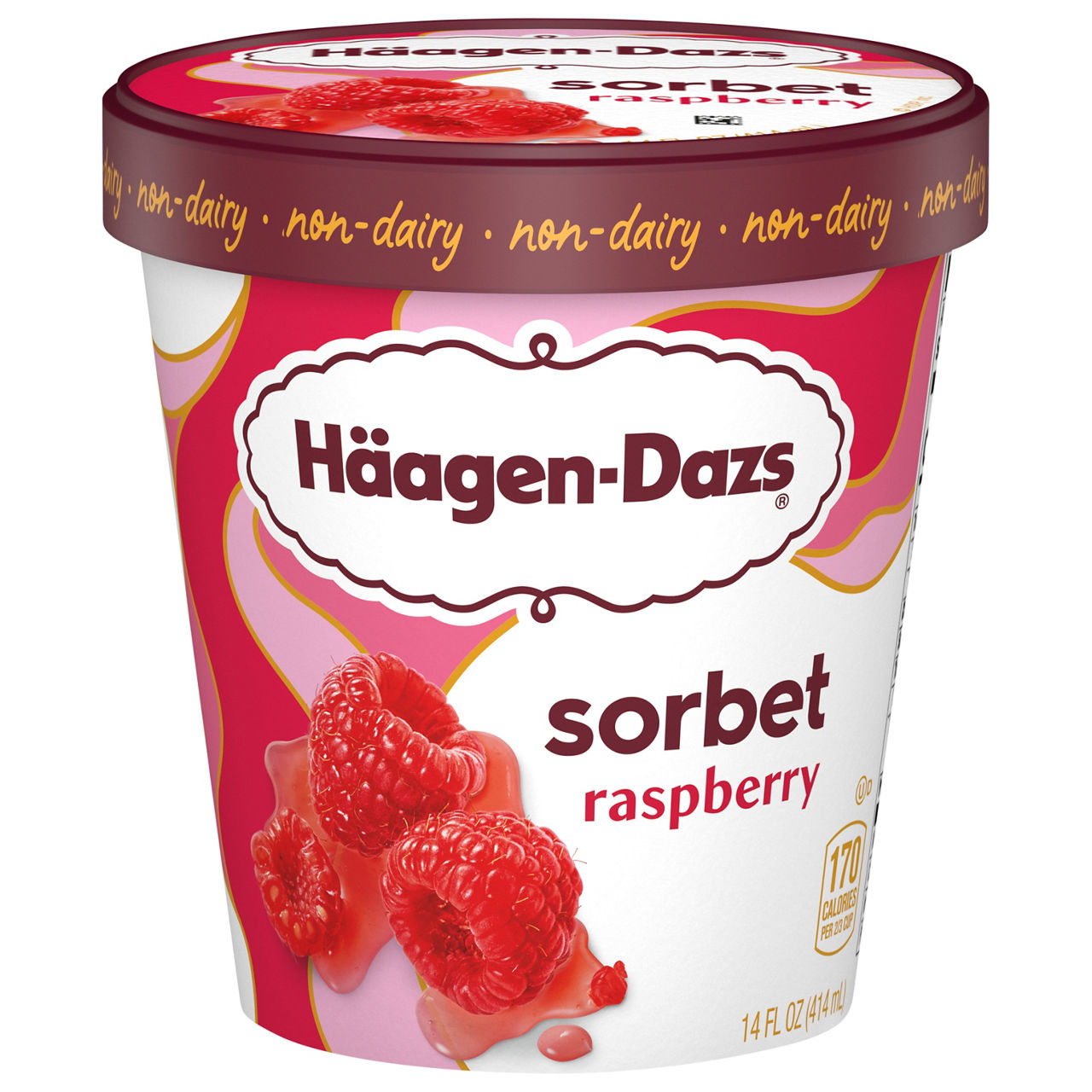 Haagen-Dazs Raspberry Sorbet | Wegmans