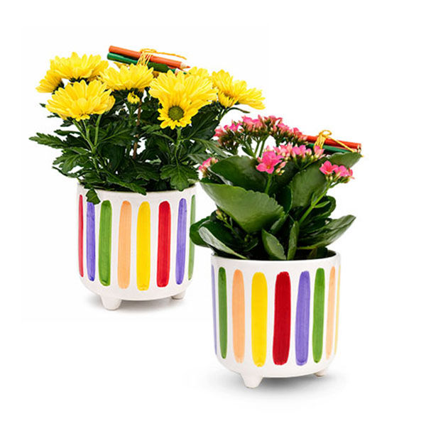 Teacher Appreciation Blooming in Ceramic | Wegmans