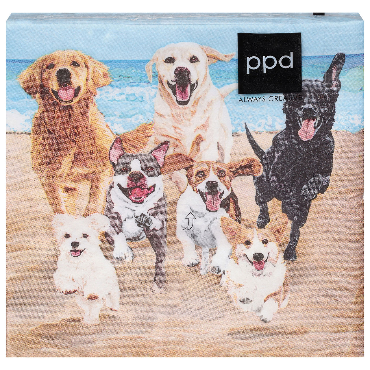米プログレ Pavlov’s Dog 4タイトル 紙ジャケットボックスセット ソニー・ミュージック「プログレッシヴロック紙ジャケット